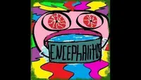 kz_encephalitis