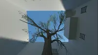 kz_tikkaat