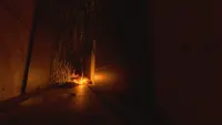 ze_timeshifter